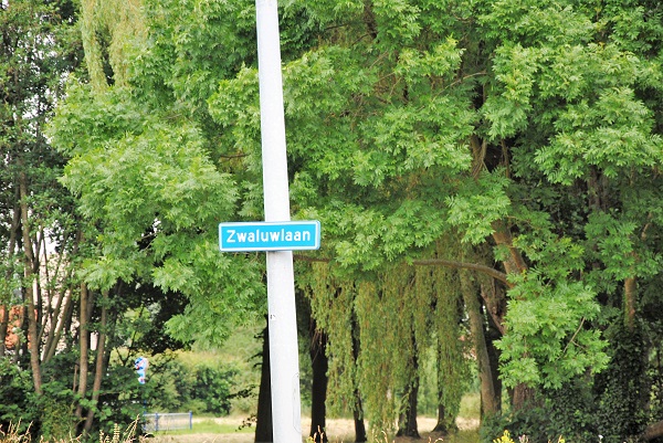 Oproep voor reünie van 'Jongens uit Kethel Vogelbuurt uit de jaren 1960/1970'
