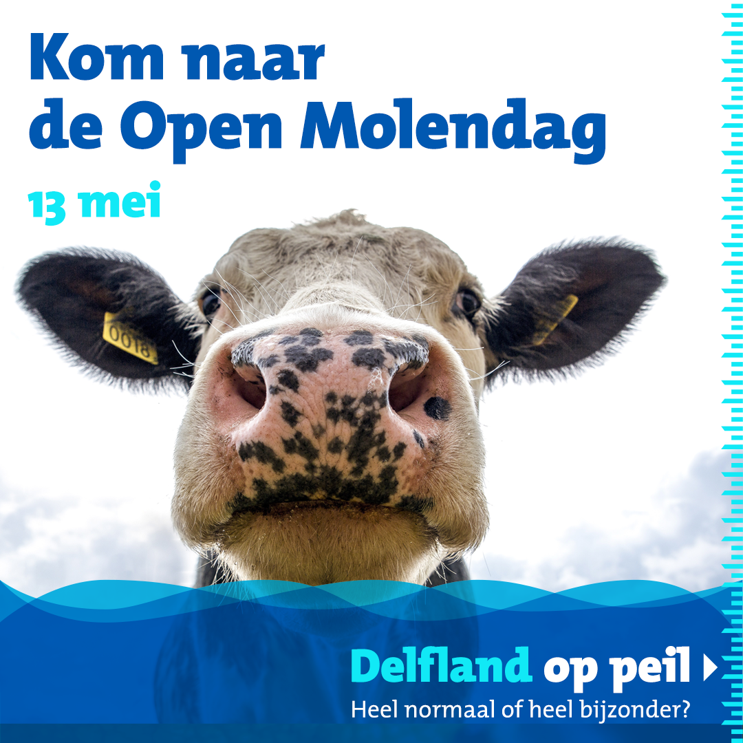 Vandaag en morgen Open Molendag in het Delfland 