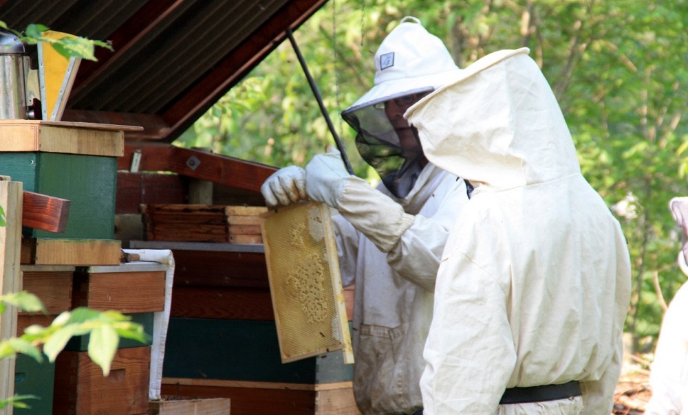 Landelijke Open Imkerijdagen