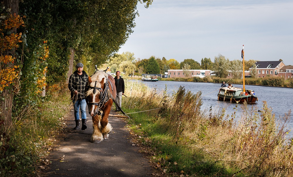 Programma 'Zie de Schie 2025' 