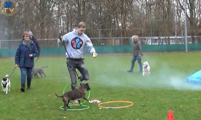 Wat doe  je wanneer je hond bang is voor vuurwerk?