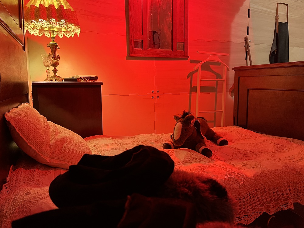 Aankomst Sint op het Hoofd en ontvangst op het Stadserf