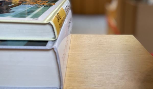 'Het verboden rijk' van J. Slauerhoff