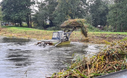 Dit bootje neemt 'veel riet op zijn vork' in de Poldervaart