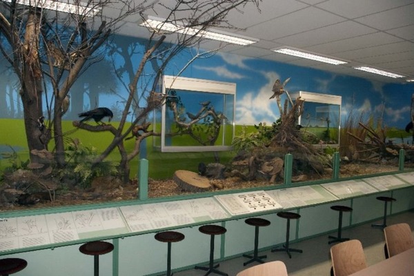 Natuurlijk Waterweg-Noord start petitie voor behoud Boshoek