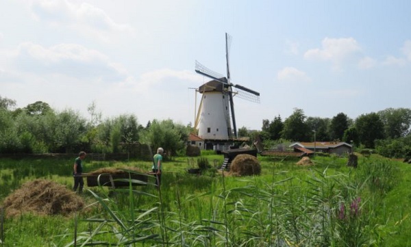 Zaterdag verschillende activiteiten bij Babbersmolen