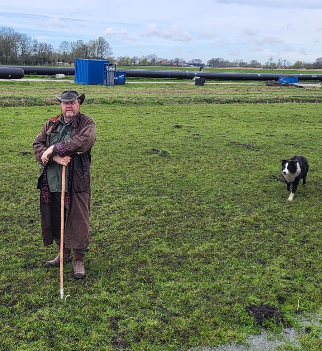"Wolven naar Midden-Delfland? Kans is klein, maar zeg nooit nooit" 