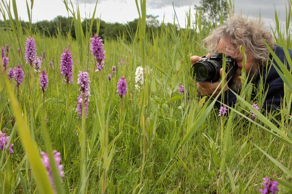 Stuur jouw mooiste foto naar Staatsbosbeheer