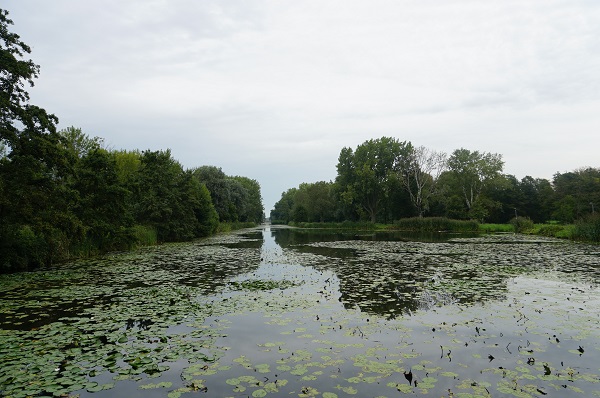 polderwandeling3