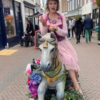 afbeelding