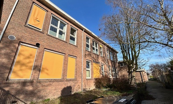 Hoe zit het met deze kastanjeboom? 