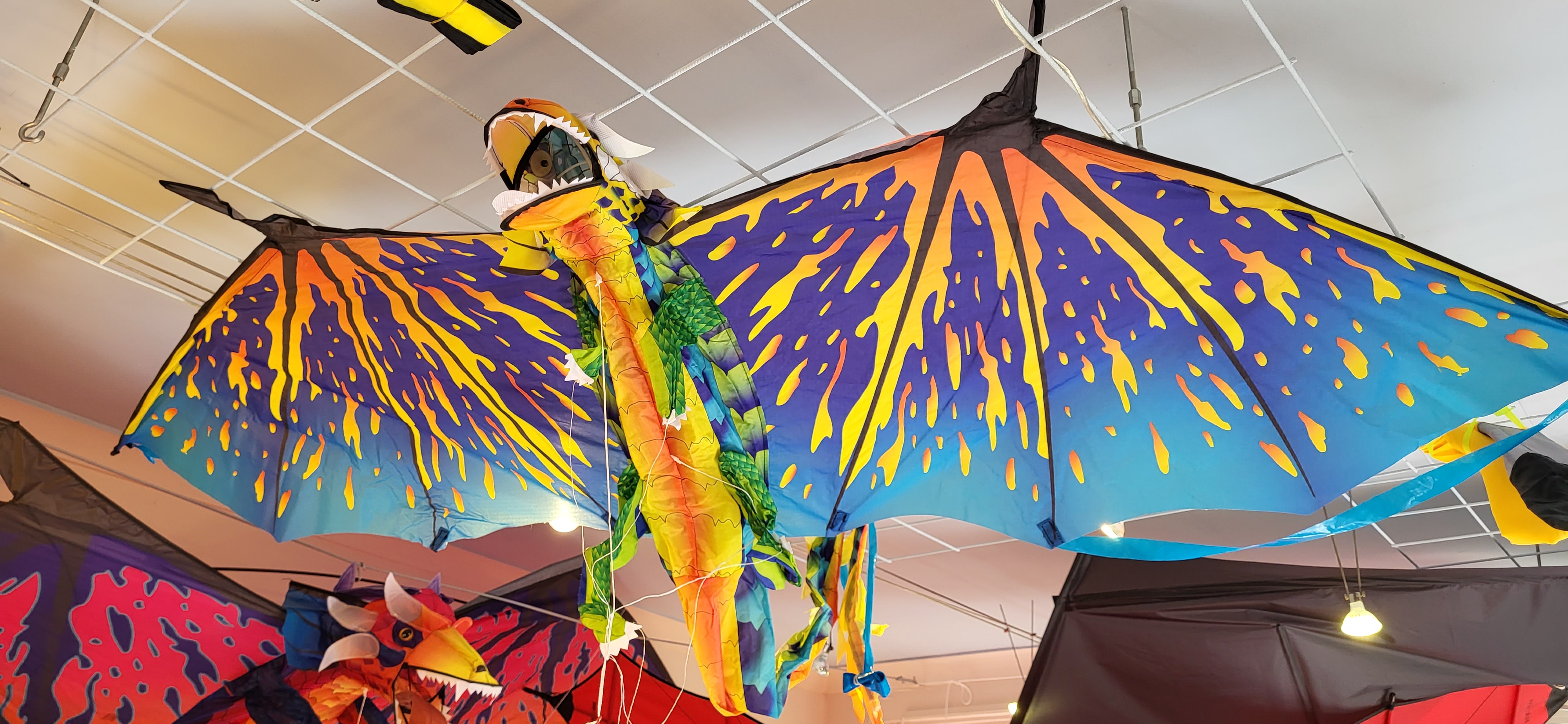 Vliegeren blijft leuk voor jong en oud