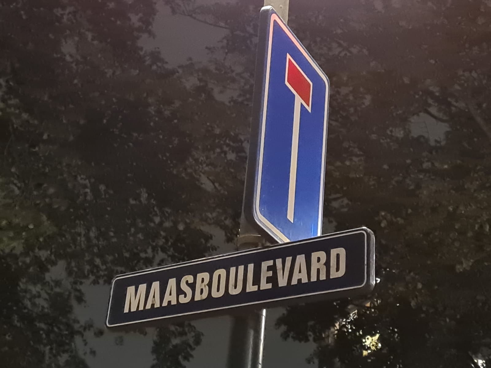 'Met de kennis van nu had deze vergunning niet verleend mogen worden'