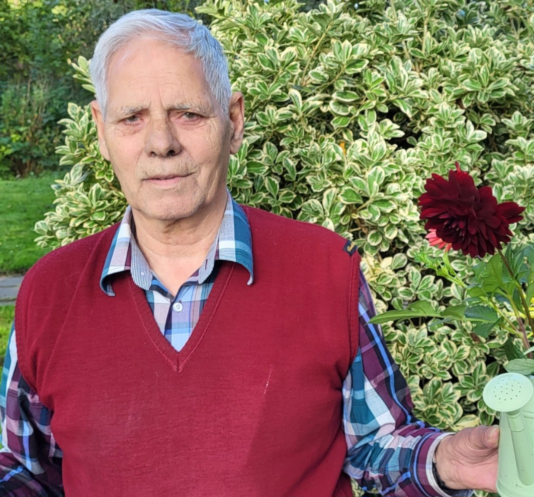 Dahlia Vereniging Schiedam zoekt leden