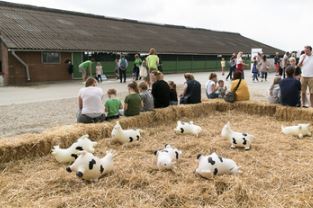 Open dag bij zes boerderijen in Zuid-Holland