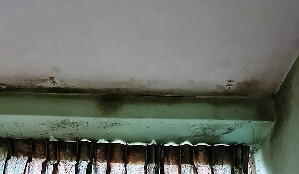 'Wat een eikels joh, dat kun je toch niet maken dit' 