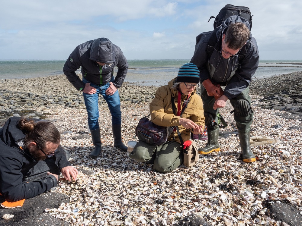 Ga mee op ontdekking en maak kennis met zeedieren 