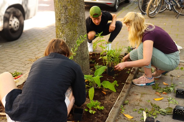 Schiedam doet mee aan Nationale Boomspiegelfeest