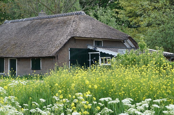 Alternatieve markt in de Groene Raat