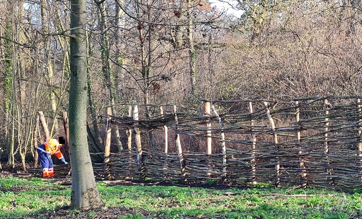 Verdwijnt de ijsvogelwand langs de Poldervaart?