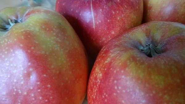 Startbijeenkomst Kind naar Gezonder Gewicht