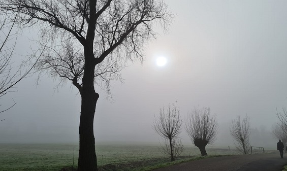 Eenzame uitvaart van de heer M. v.d. L. (61 jaar)