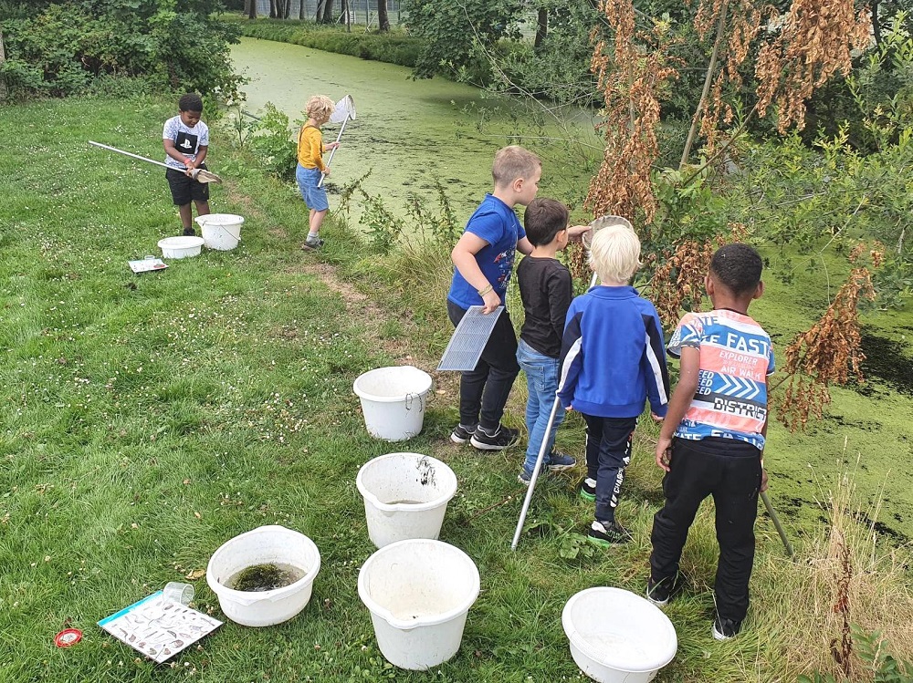 Midden-Delfland Dag in Schiedam Kethel
