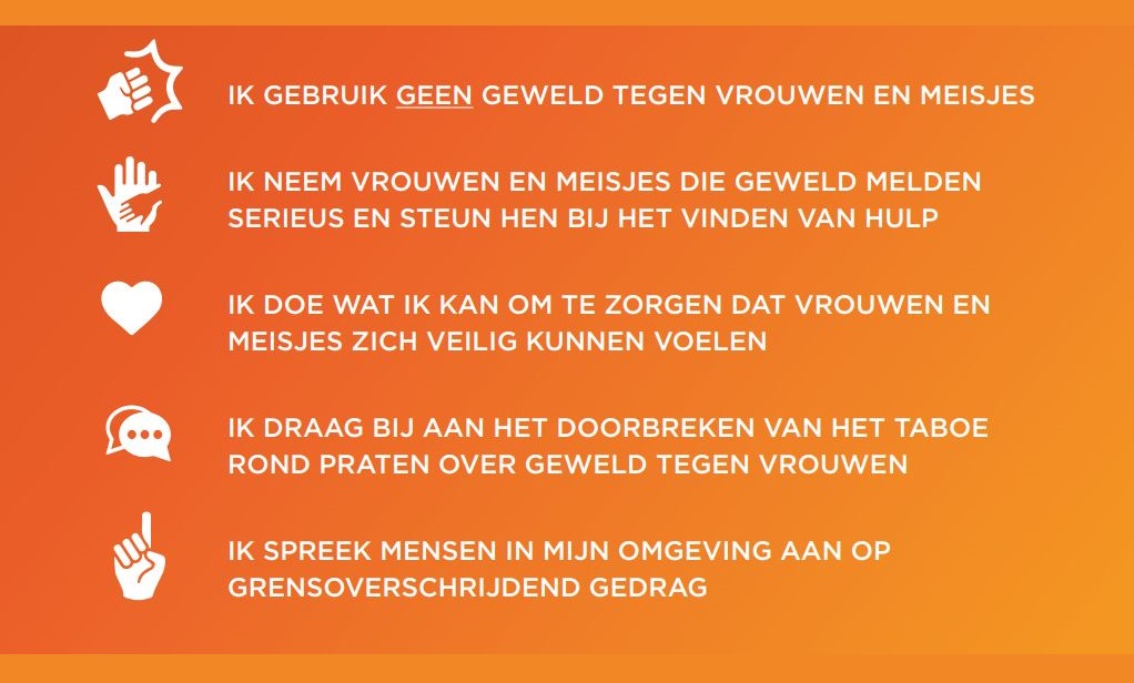 Strijd tegen geweld tegen vrouwen en meisjes 