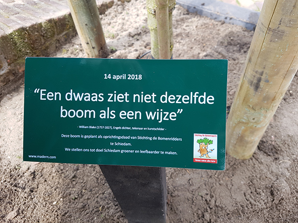 Kap van 18 bomen voor woningbouw die is uitgesteld