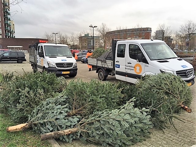Waar en wanneer je je kerstboom kunt inleveren