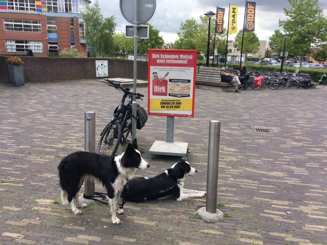 Supermarkt Dirk in Sveaparken gaat in juni verbouwen