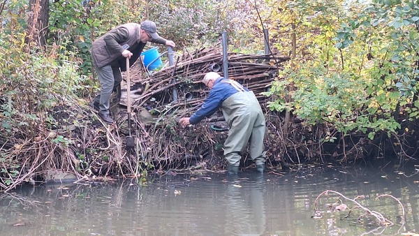 IJsvogel gesignaleerd