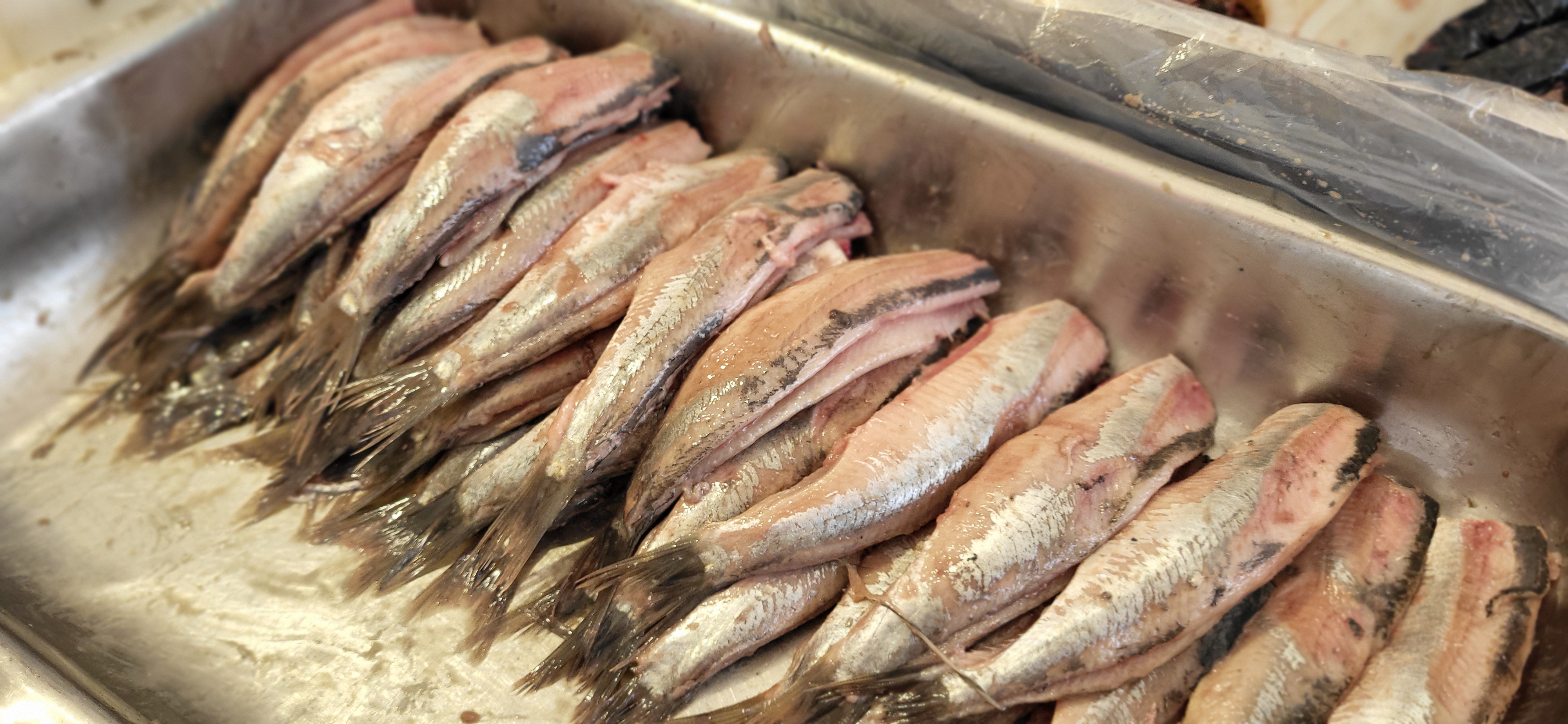 'Haring is beter dan vorig jaar'