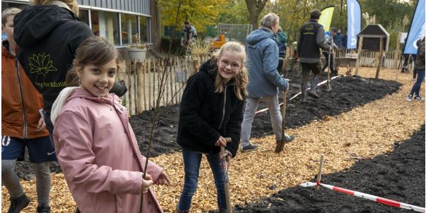 VolkerWessels legt Tiny Forest aan in Schiedam