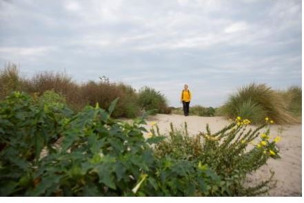 Dwalen door de Van Dixhoorndriehoek in Hoek van Holland