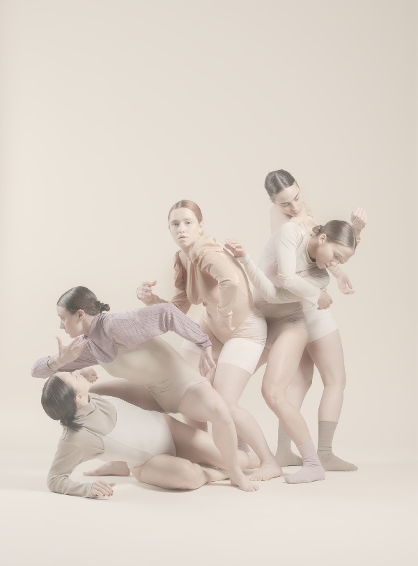 Editie 11 van Dans in Ontwikkeling in Wennekerpand