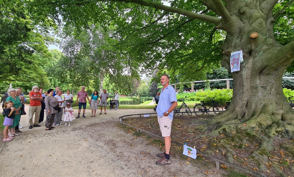 Wie heeft er herinneringen aan deze bijna 100 jaar oude beuk?