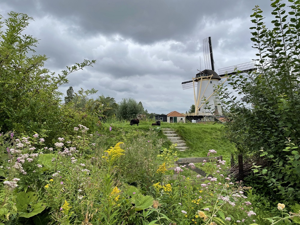 Nature Impact Days bij de Babbersmolen