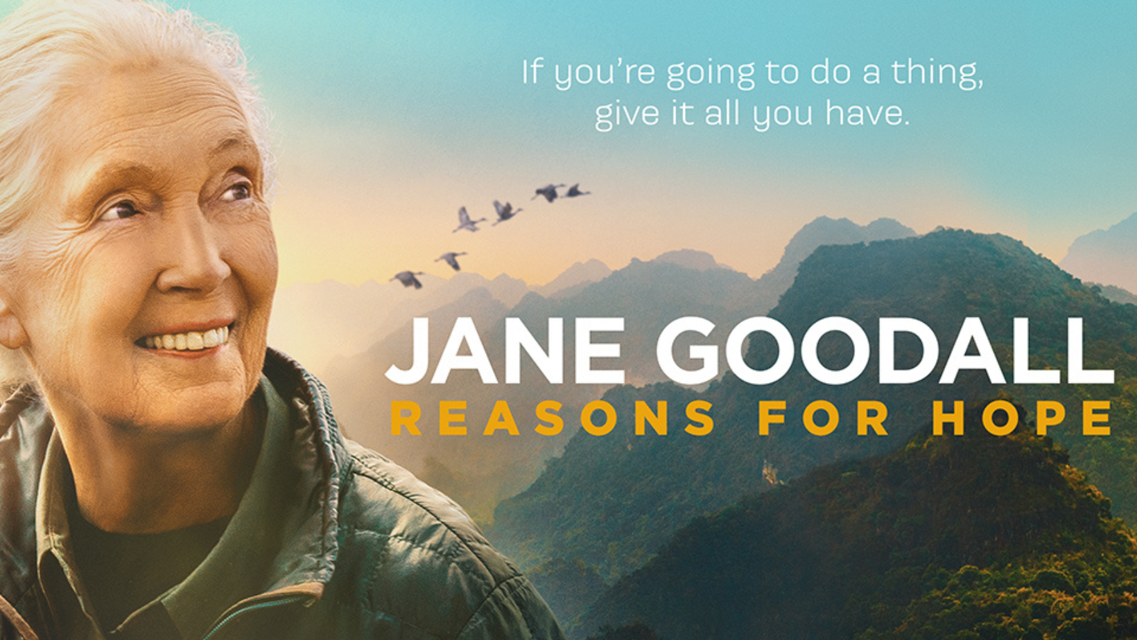 Hoopgevende verhalen van Jane Goodall in Museon-Omniversum