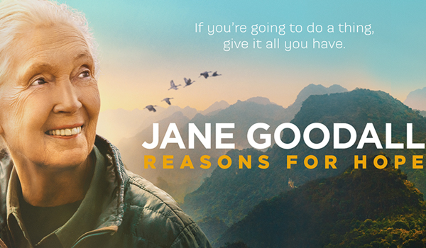 Hoopgevende verhalen van Jane Goodall in Museon-Omniversum