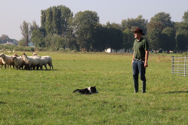 Schiedam is óók: het boerenbuitenleven