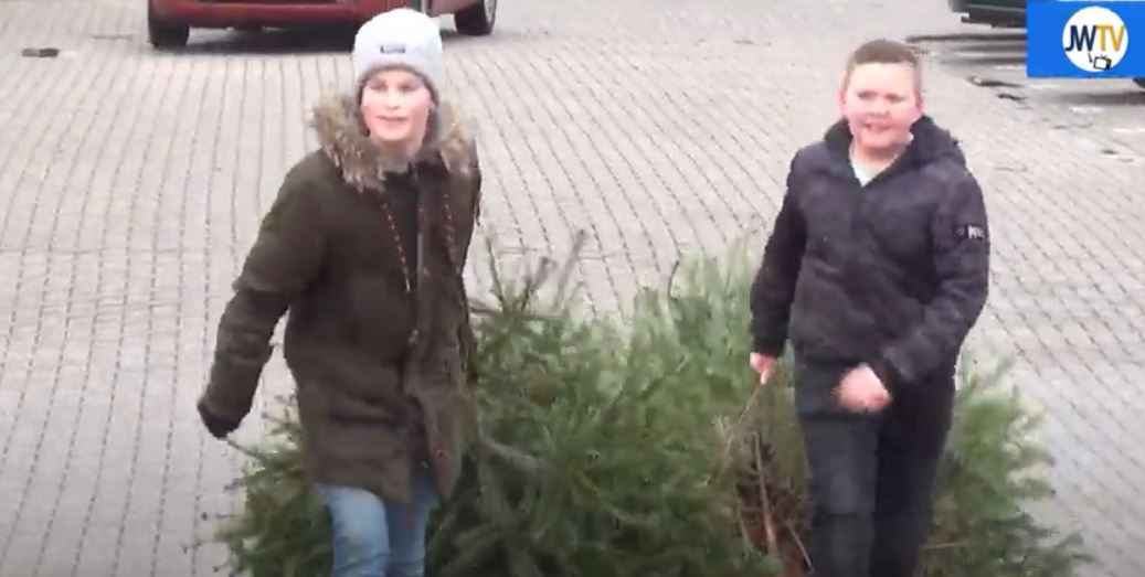 kerstbomen1-1