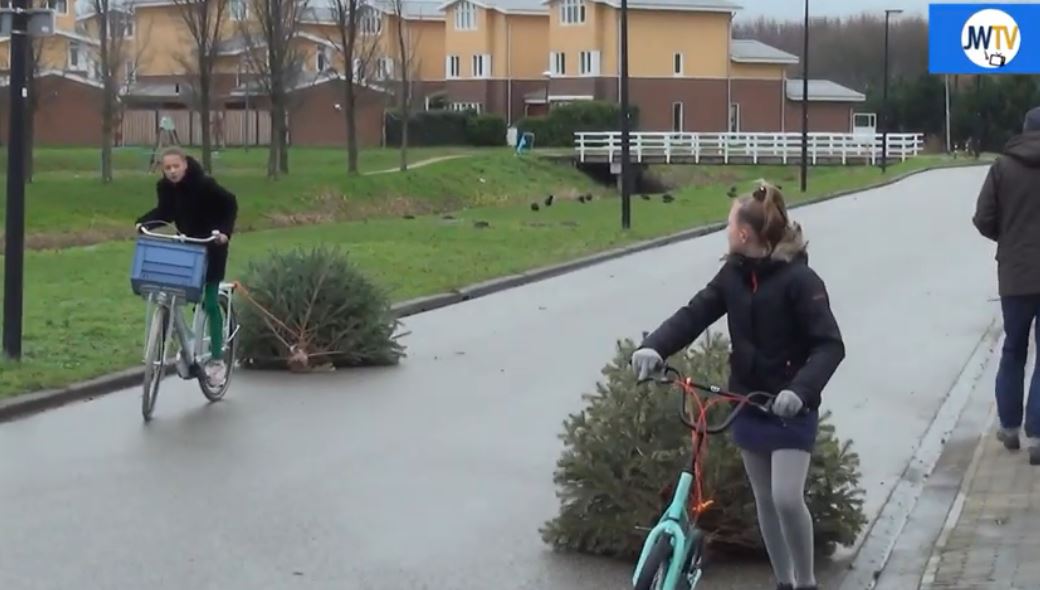 Kinderen aan de slag met ophalen en inleveren kerstbomen
