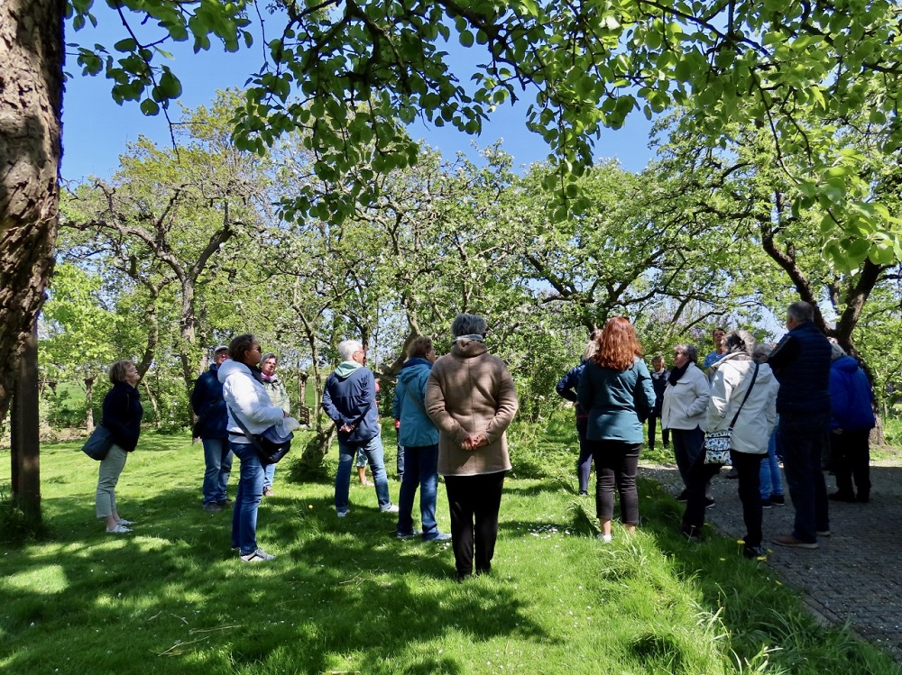 Fietstocht langs de bloesems