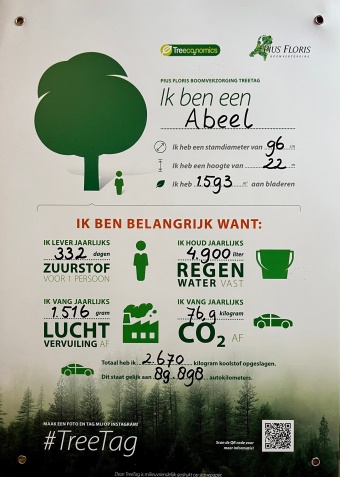 Schiedamse Bomenridders onthullen weer TreeTags