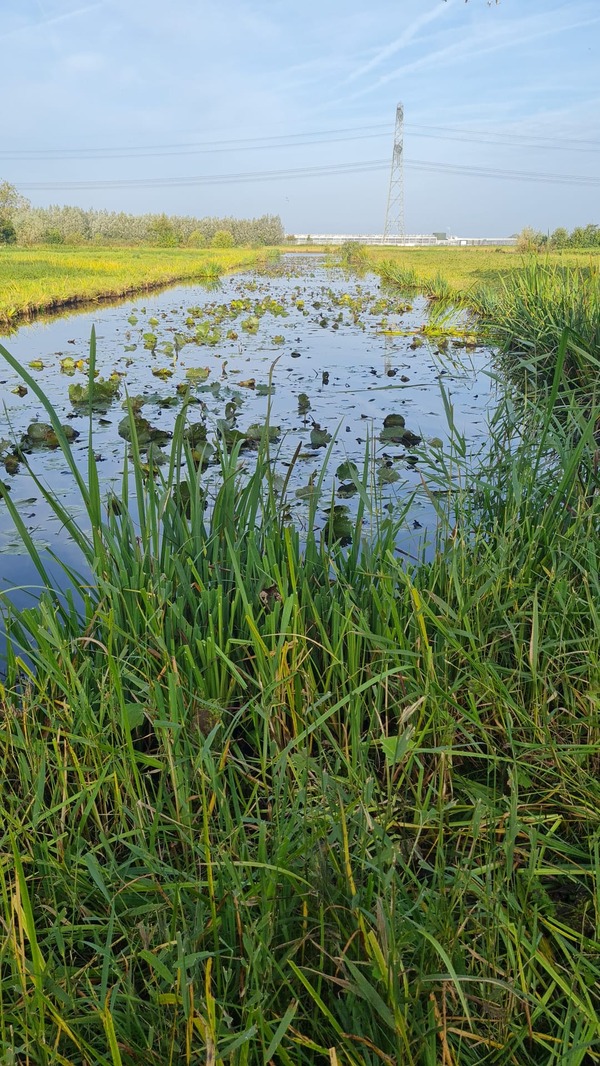 Lezing Ecologische beoordeling oppervlaktewateren