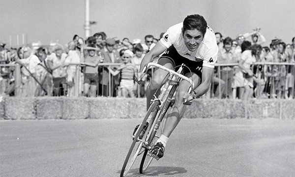 merckx