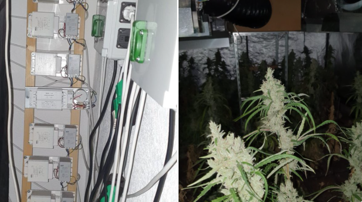 Een hennepplantage in een flatwoning aan het Chopinplein