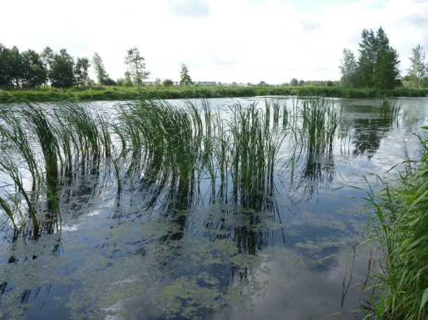 Excursie Schoner Water in Midden-Delfland