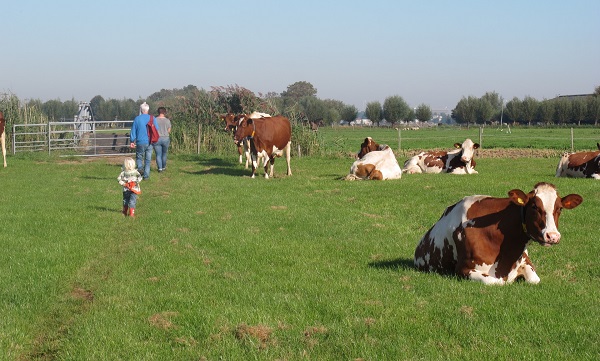 Vanaf morgen een 'vliegende wandeling' van 16 kilometer